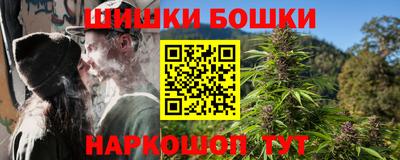 стаф Берёзовский