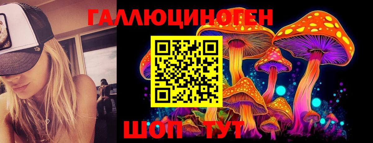 Псилоцибиновые грибы GOLDEN TEACHER  Вход с VPN  Карпинск 